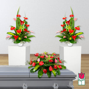 Tropical Floral Package (Set A)