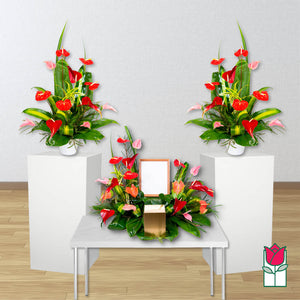 Tropical Floral Package (Set B)